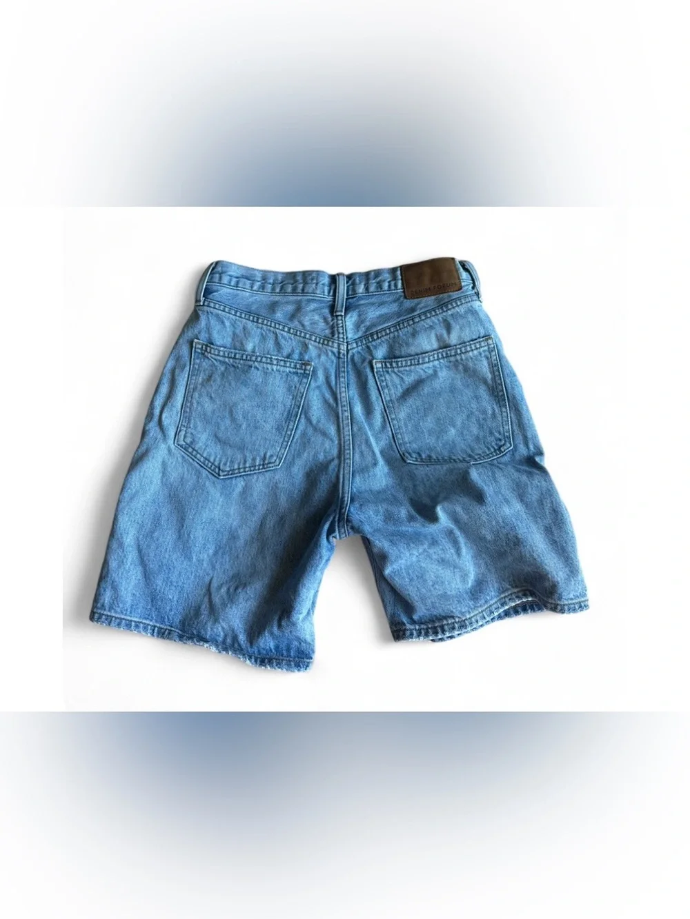 Aritzia Denim Forum Joni Loose Long Short Picture This Bleu organic cotton sz 25